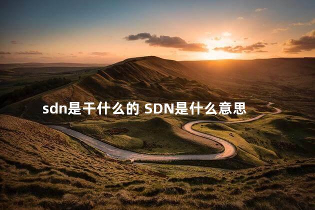 sdn是干什么的 SDN是什么意思